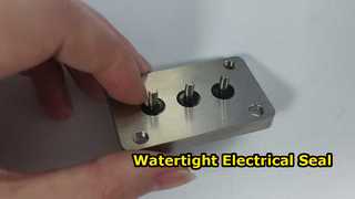 Hermetically Sealed Terminal 15A Watertight