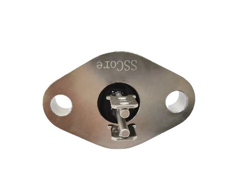 ELAN 48 Glass Materials Glass Metal Seals Incorporating 2 Pin Number Ideal for Electronic Components and Sensor Devices